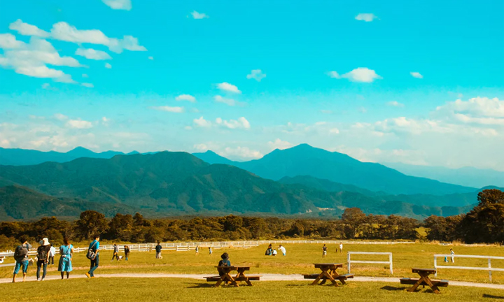 02Family-Picnics-at-Parks