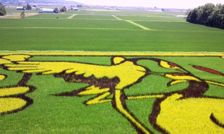 20RICE-PADDY-ART